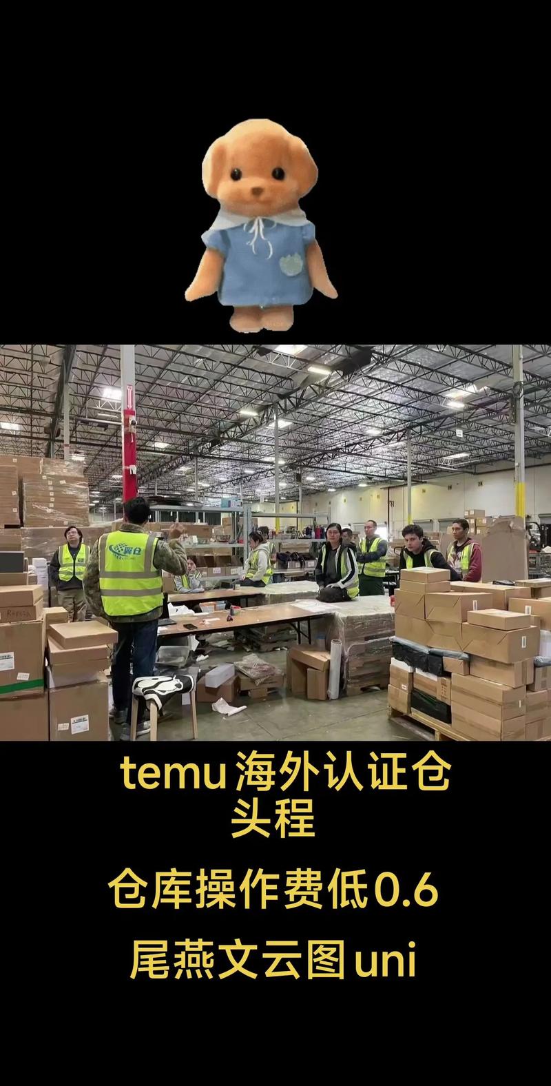 国际采购
